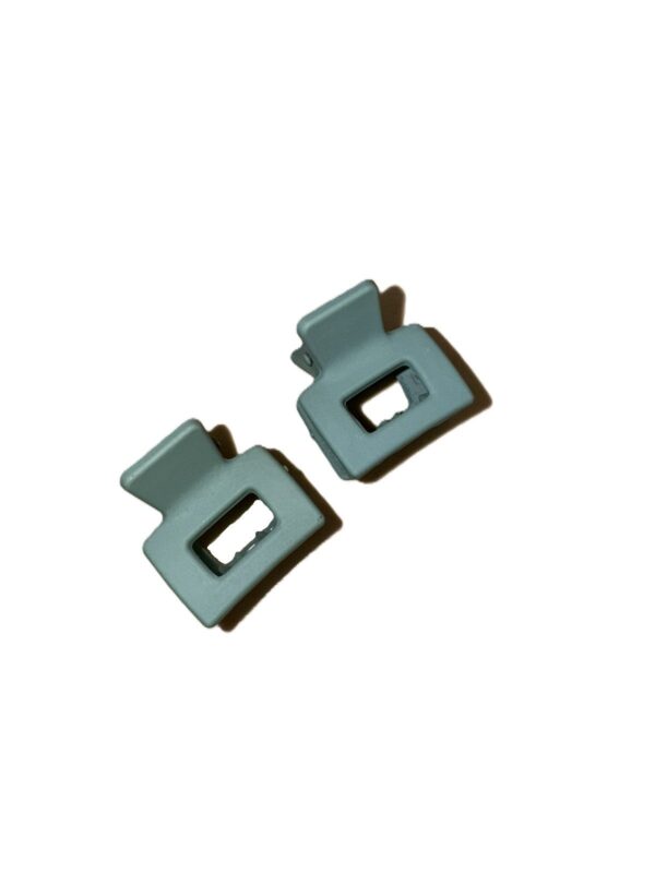 Mint Mini Clips